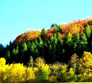 Die schönsten Bilder der Gegend
