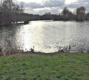 Beutwangsee Neckarhausen