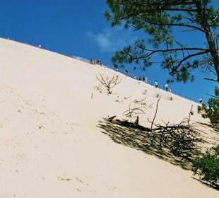 Der mühsame Aufstieg