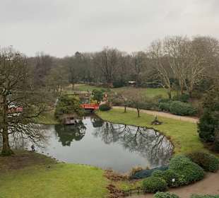 Blick über den Park