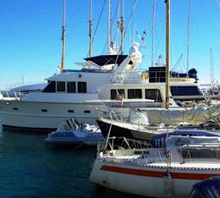 Werden schon etwas größer