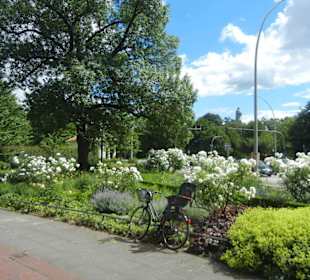 Parkanlage Planten un Blomen
