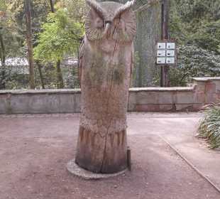 Weltvogelpark Walsrode