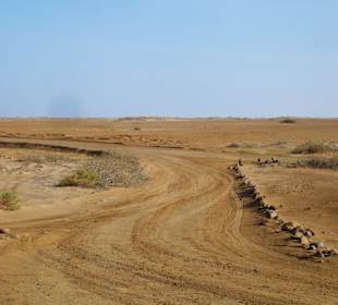 Super zum Mountain Biken