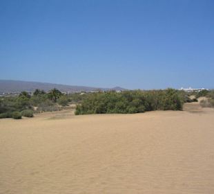 Dünen in Maspalomas bei Meloneras