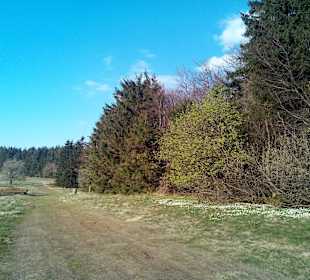 Einer von vielen Wanderwegen in der Nachbarschaft