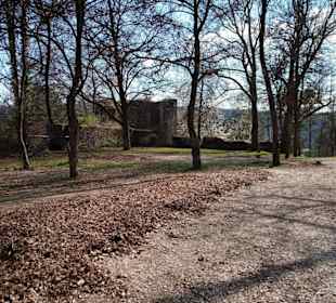 Burg Ruine Honberg in Tuttlingen