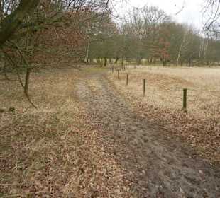 Naturschutzgebiet Boberger Niederung