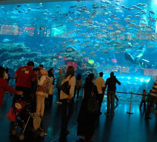 Аквариум в дубай молл
