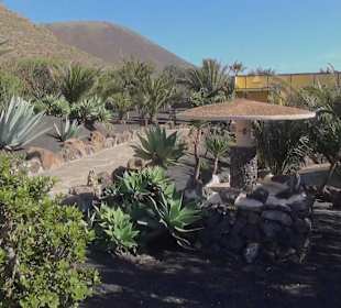 Guinitate Tropical Park