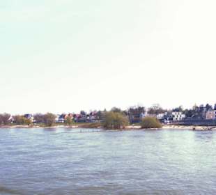 Rhein-Schifffahrt mit der Köln - Düsseldorfer