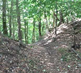 Unterer Greifenstein