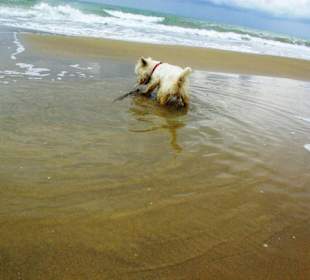 Ende September 2010 Impressionen