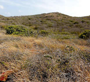 Spaziergang durch den Hòfi Pastor Park