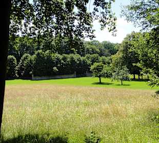 Impressionen aus dem Park Wilhelmsthal