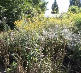 Berggarten
