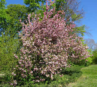 Eindrücke vom Rundgang durch den Inselwallpark
