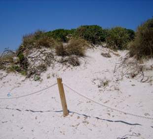 Naturschutz für die Dünen