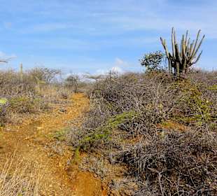 Spaziergang durch den Hòfi Pastor Park