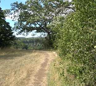 Wandertour Greifensteinrunde