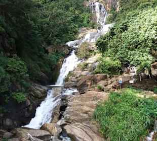 Elefantenreiten Sigiriya