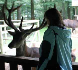 Wildpark Daun - Tiere zum Anfassen