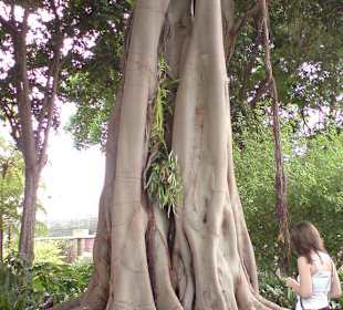 Ausflug zum Botanischen Garten