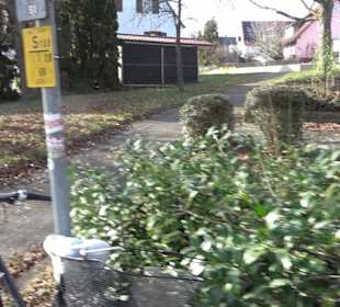 Parkbrunnen