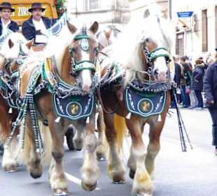 Brauerei Zirndorf 6er Span