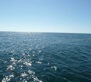 Offenes Meer beim Catamaran Ausflug