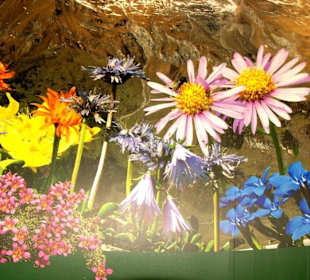 Natur