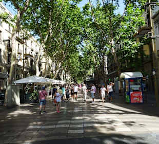 Impressionen von der Rambla