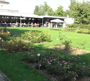 Botanischer Garten München