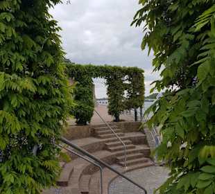 Die Rheinpromenade