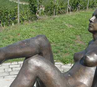 Weinbergwanderung am Johannisberg in Thüngersheim