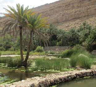 Wadi Bani Khalid