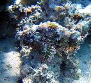 Schnorcheln Dahab