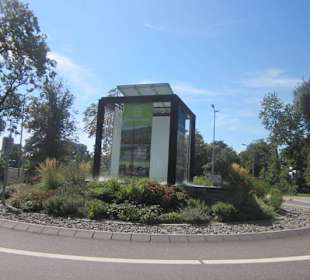 Am Rhein bei Germersheim