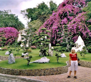 Million years Stone Park