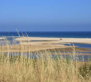 Blick in das Naturschutzgebiet