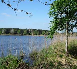 Impressionen vom Rundgang um das Ottermeer