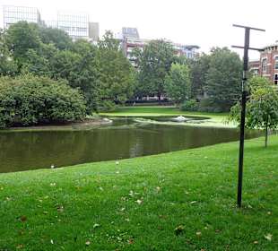 Blick auf den Weiher