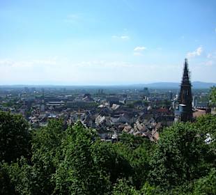 Sicht über Freiburg vom Schloßberg