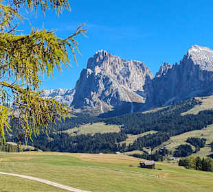 Wandern Seiser Alm