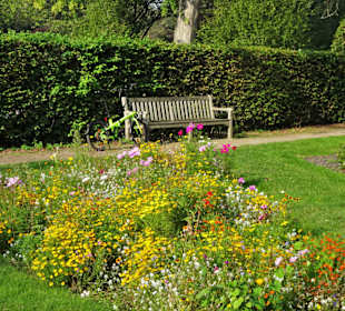 Eindrücke aus dem Harburger Stadtpark