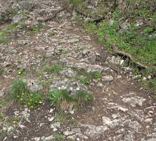 Wanderung rund um das Rusenschloss Gerhausen