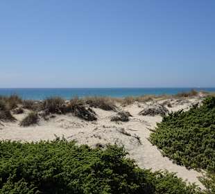 Strand La Barrosa