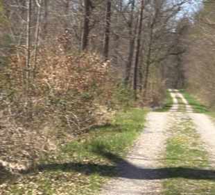 Waldkulturerbe Neuweiler Viehweide