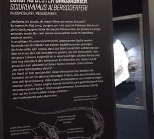 Dinosaurier Museum Altmühltal