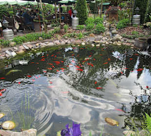 Brauhaus Ehrstein Hinterweidenthal